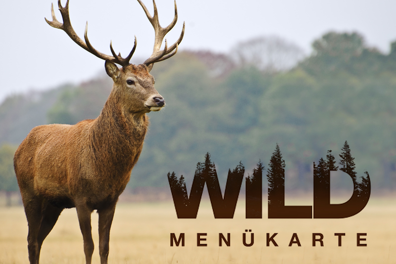 News-Wildkarte_800x534px